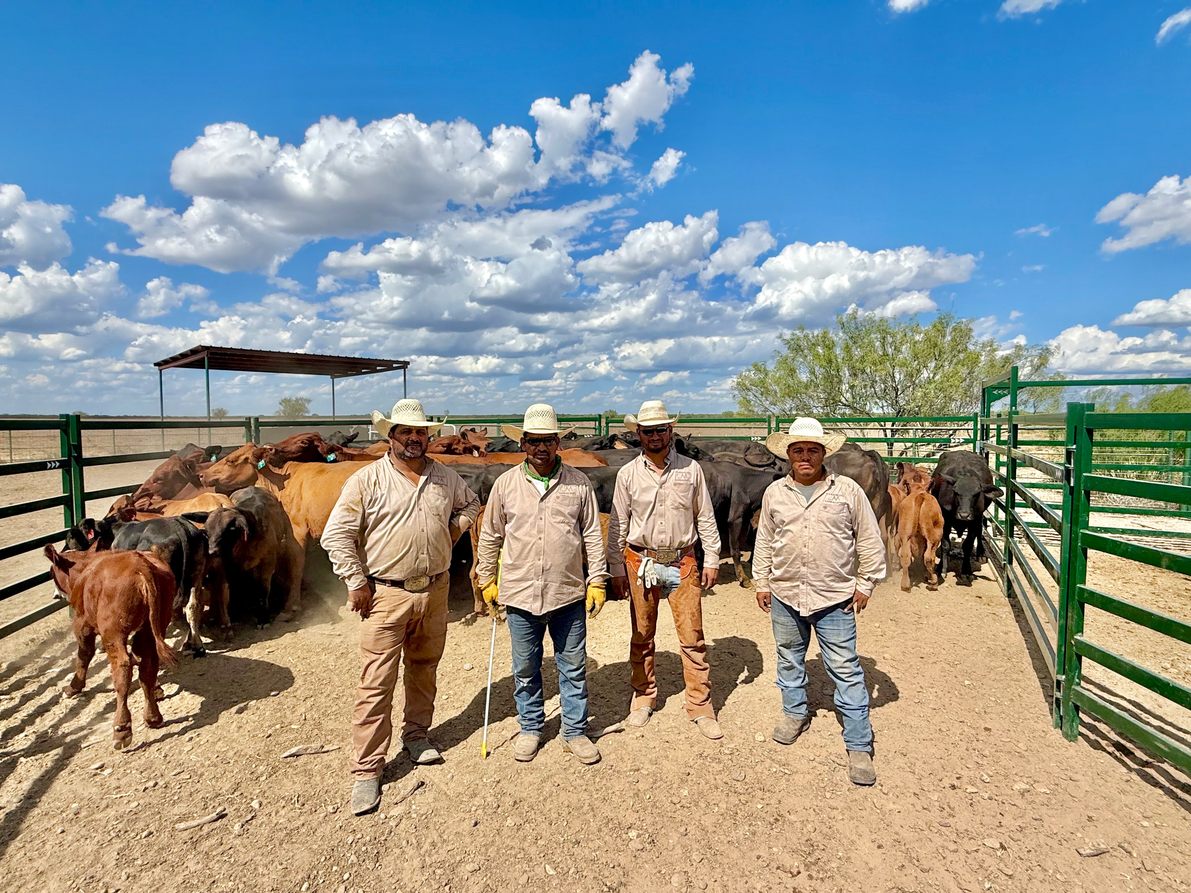 text-block-image-template--17182407163965__ss_text_block_pro_AJEPKC